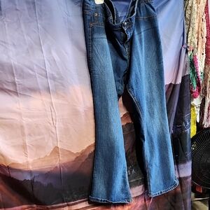 Elegant Indigo Flare Women's Jeans